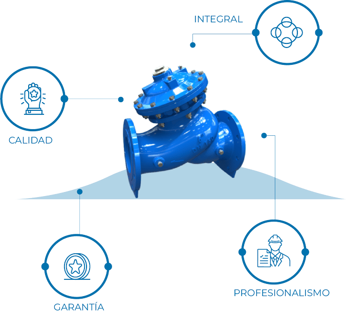 Servicios de Bermad Perú